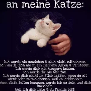 FB_IMG_1581887582013.jpg