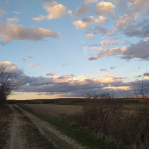 20200312_173914.jpg