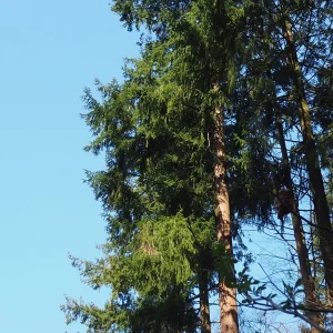 P3190085.JPG