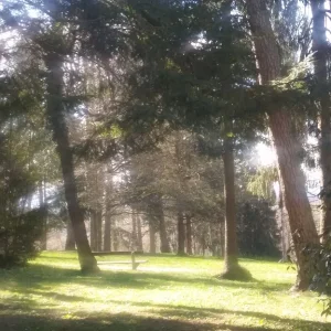 Frühlingsimpressionen_3.jpg