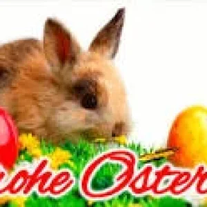 upload_2020-4-11_22-49-27.jpeg