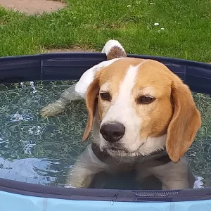 20190808_101931.jpg