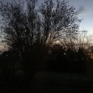 DEAAE575-5691-4BF4-BD29-F691564BD69B.jpeg