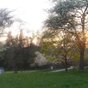 Frühlingsimpressionen_15.jpg