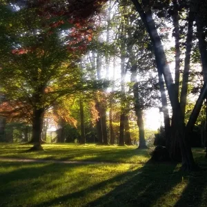 Frühlingsimpressionen_26.jpg
