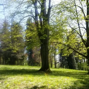 Frühlingsimpressionen_23.jpg