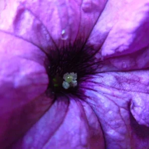 DSCN0042.JPG