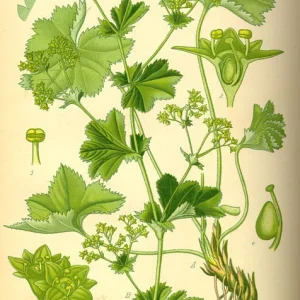 tafel_094_small.jpg