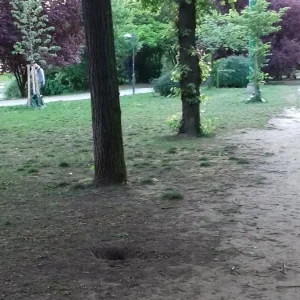 20200512_200939.jpg