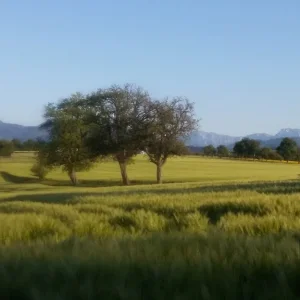 Feld und Flur_1.jpg