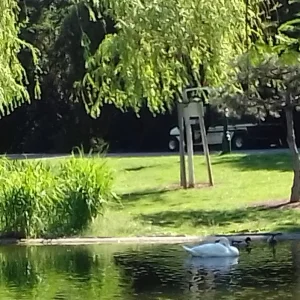 20200518_100356.jpg
