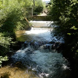 DSCN2479.JPG