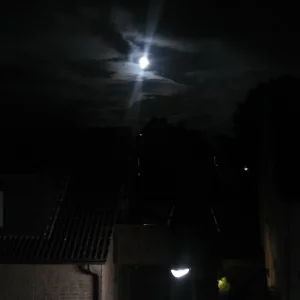 mond2.JPG