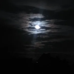 mond5.JPG