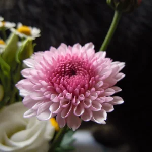 DSCN9850.JPG