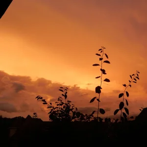 DSCN2530.JPG