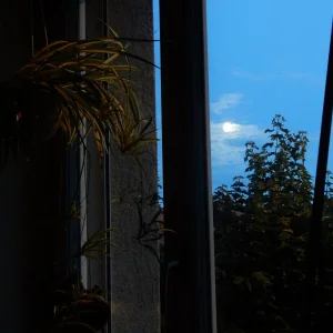 DSCN2535.JPG