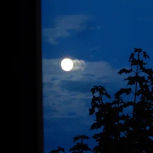 DSCN2536.JPG