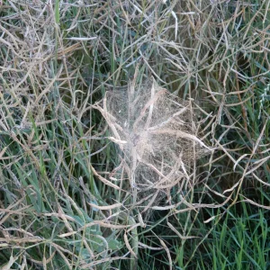 DSCN2557.JPG