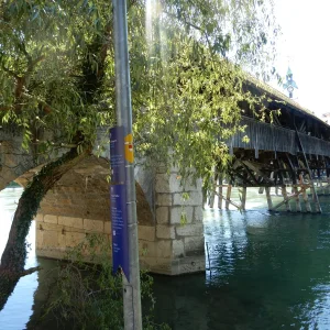 DSCN2572.JPG
