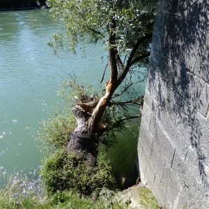 DSCN2574.JPG