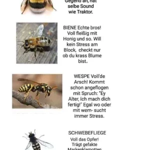 unterschied.jpg