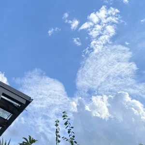3D798440-9CEB-41CD-A2EA-C72FE5648198.jpeg