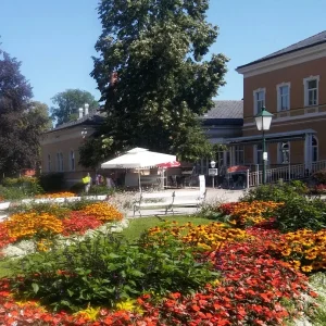 Blumenmeer_2.jpg