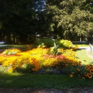 Blumenmeer_1.jpg