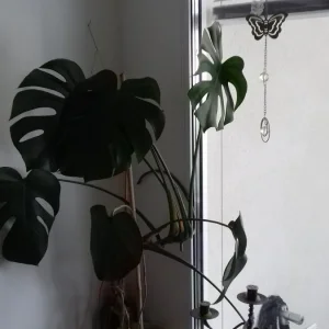 20200809_123549.jpg