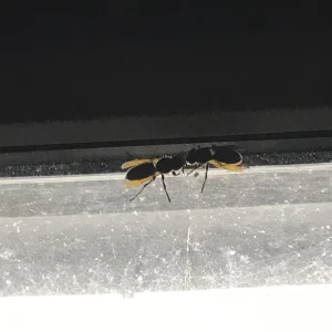 A079269C-DEE7-4821-9736-E98E5529168F.jpeg