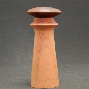 DSCN2630.JPG