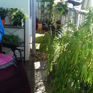 20200820_150340.jpg