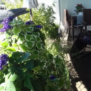 20200820_150537.jpg