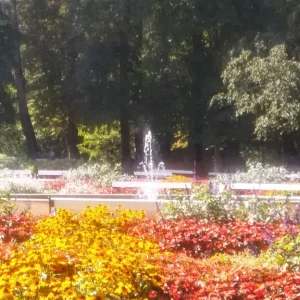Blumenmeer_10.jpg