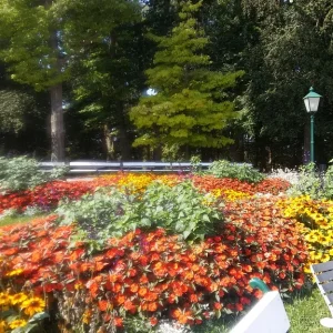 Blumenmeer_9.jpg