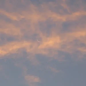 morgenmond2.jpg