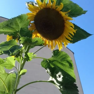 20200903_100527.jpg