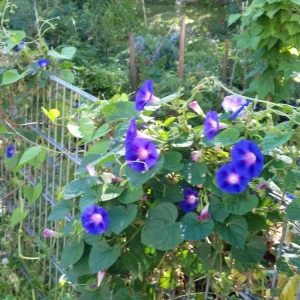 20200903_100401.jpg