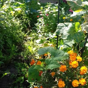 20200903_100307.jpg