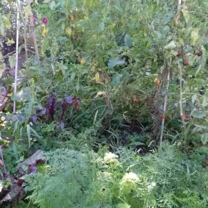 20200903_100427.jpg