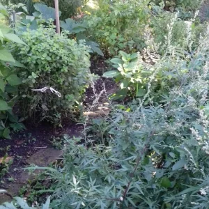 20200903_100452.jpg