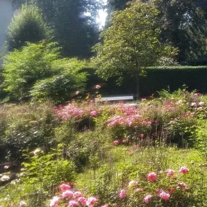 Rosengarten_2.jpg