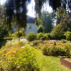 Rosengarten_3.jpg