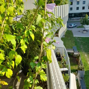 20200913_172051.jpg