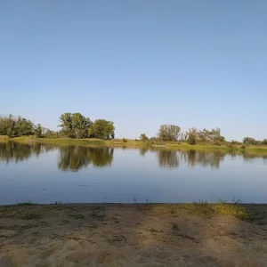 16000957221025043893758060229370.jpg