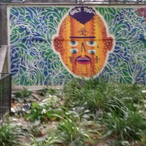 20200828_181011.jpg