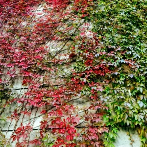 IMG_20201005_171515~3.jpg