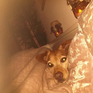 20201006_213826.jpg