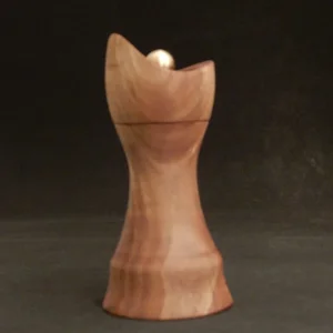 DSCN2691.JPG